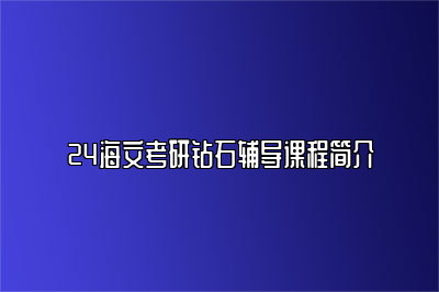 24海文考研钻石辅导课程简介